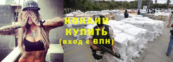 шишки Баксан