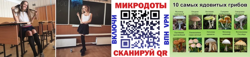дарнет шоп  Верхотурье  мориарти как зайти  Псилоцибиновые грибы прущие грибы 